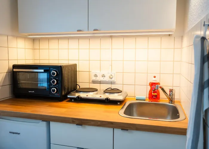 Pauline In Gera-untermhaus - Geras Lage - Wlan - Terrasse - Fuer 1 - 2 Personen